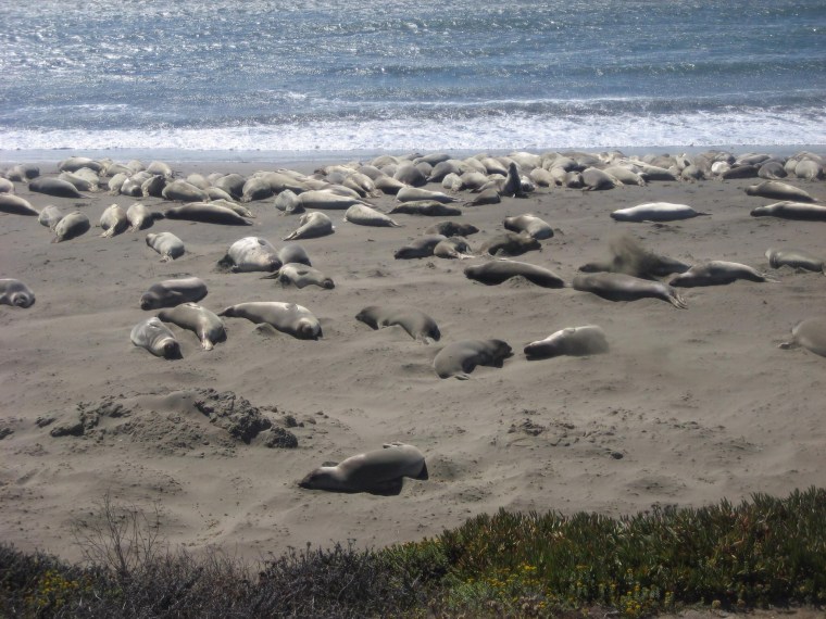 2018-10-16 19.56.07.jpg